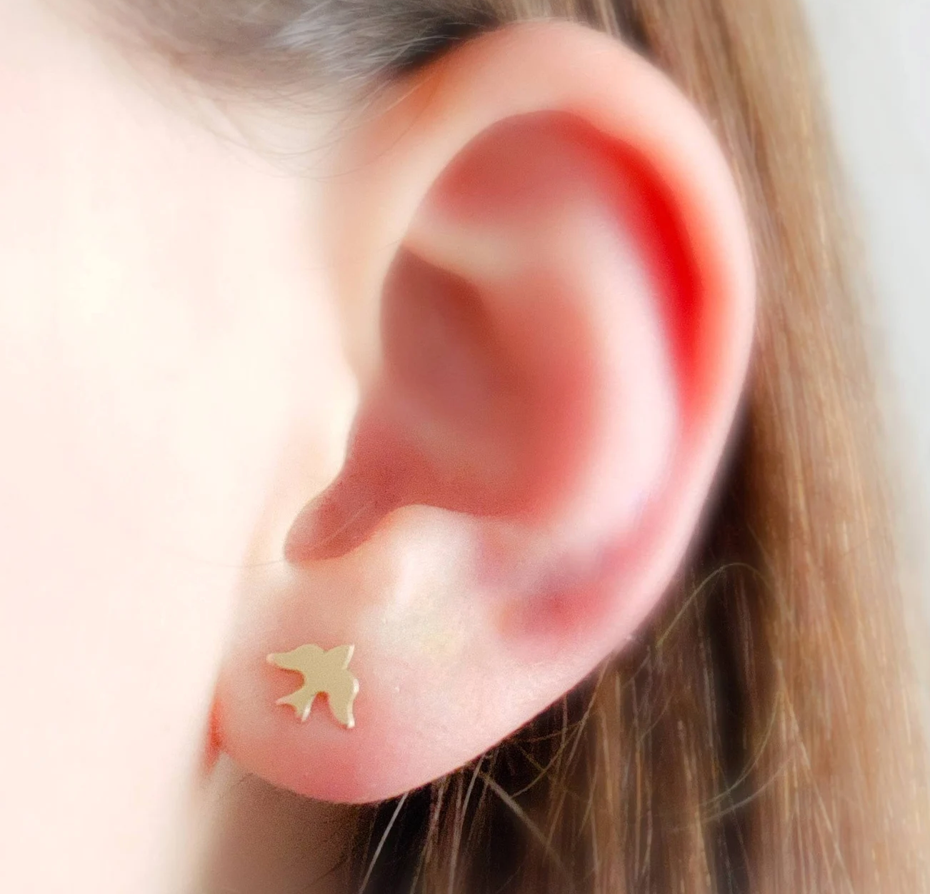 Soaring Bird Studs