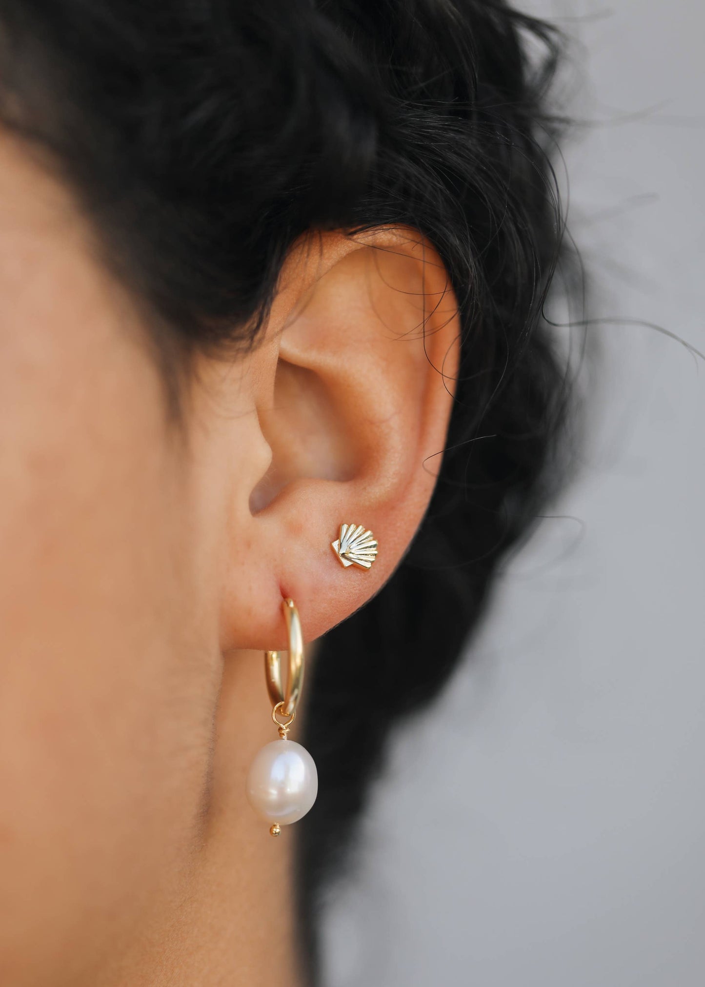 Shoreline Seashell Studs – Gold