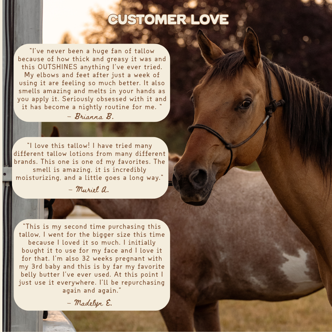 Lavender Whipped Tallow Moisturizer | Organic | 100% Natural