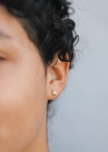 Shoreline Seashell Studs – Gold