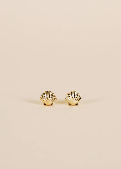 Shoreline Seashell Studs – Gold