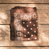 Chocolate Paisley Border Square Scarf