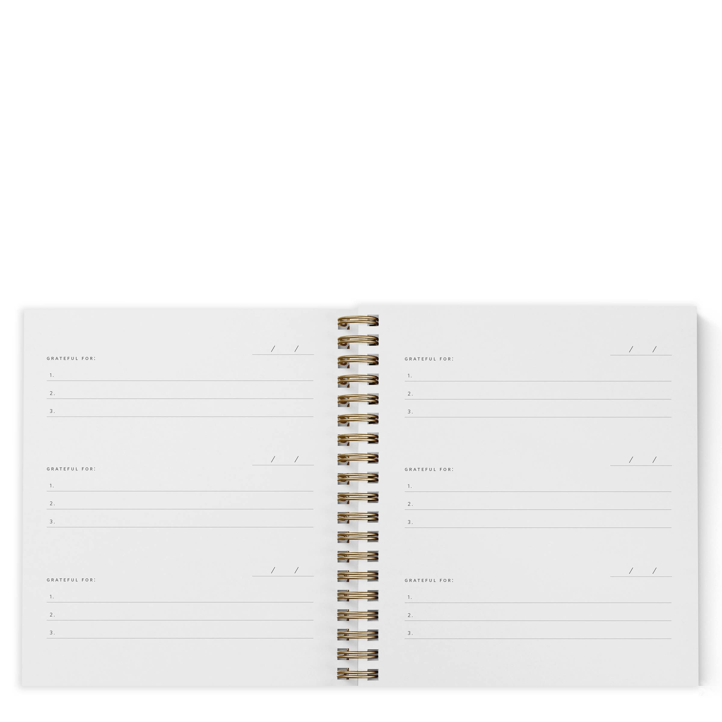 Gratitude Journal