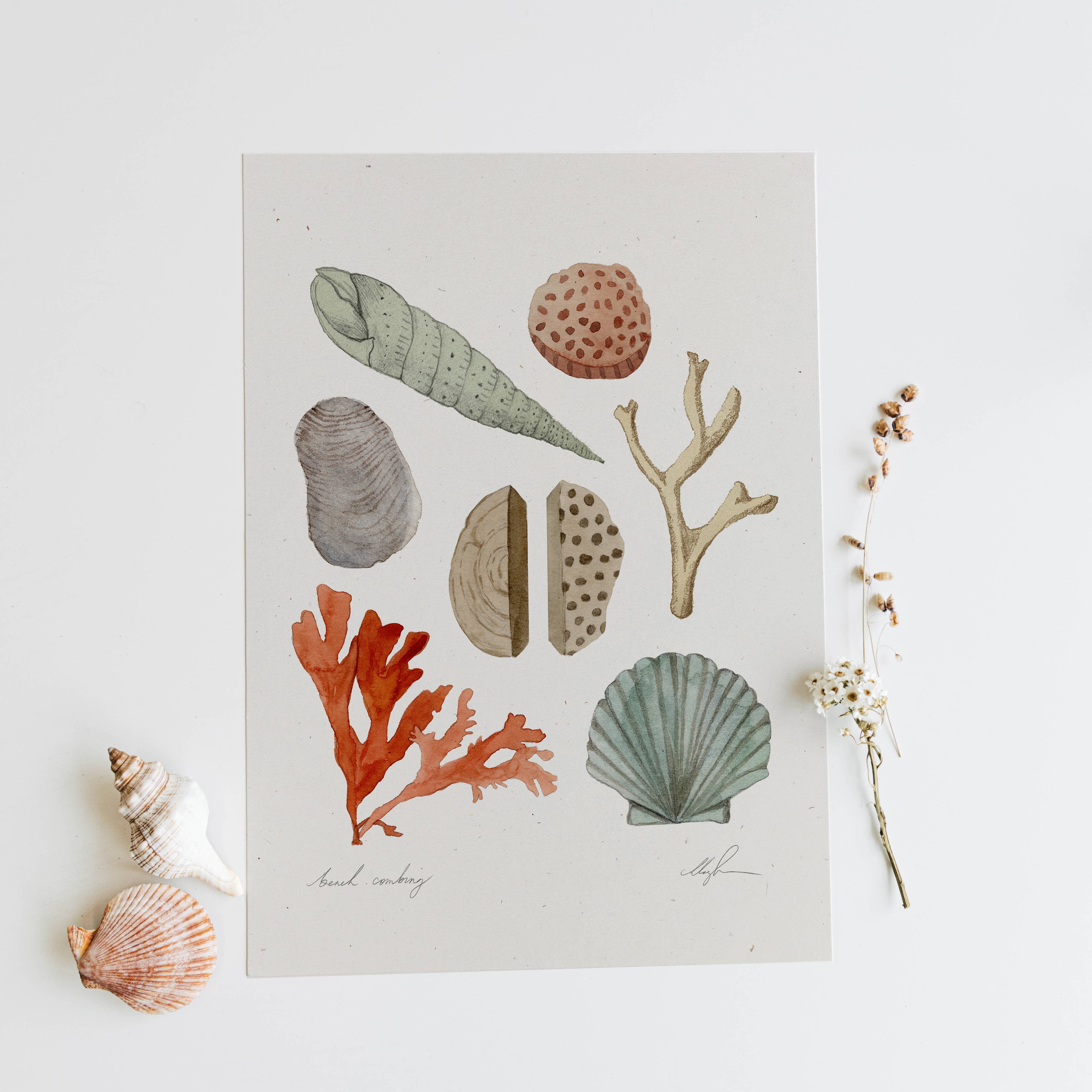 Beach Combing | 11x14 Art Print