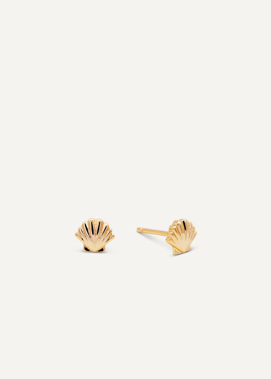 Shoreline Seashell Studs – Gold